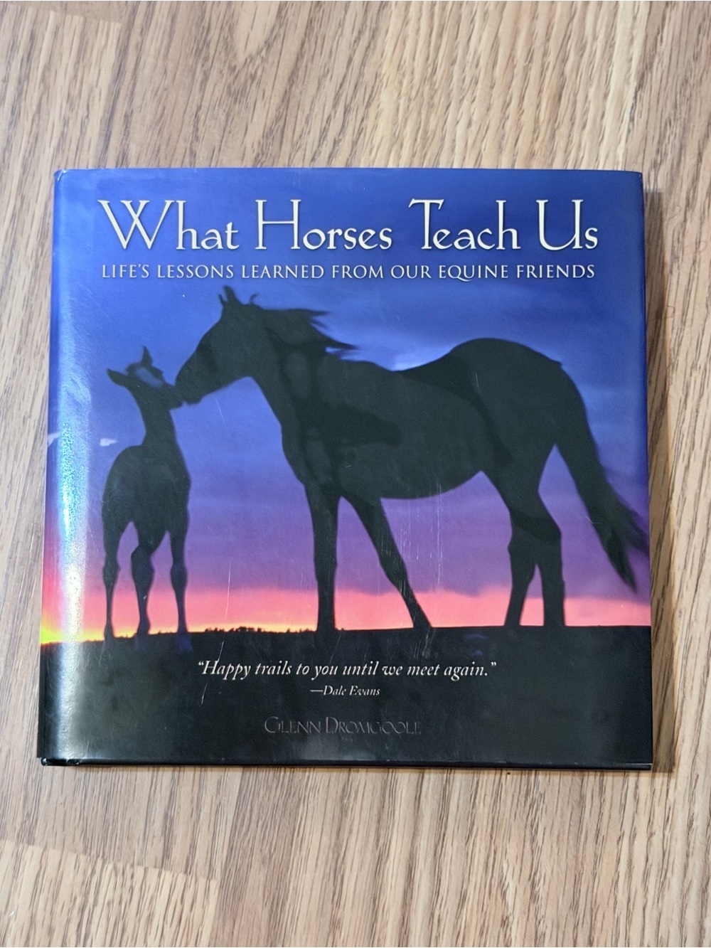 What Horses Teach Us Hardcover Book - Blue/Purple Cover